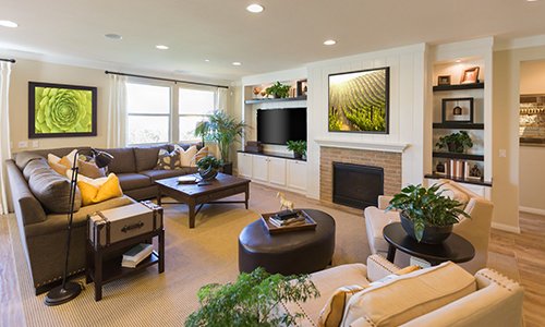 Whole Home Interior Design